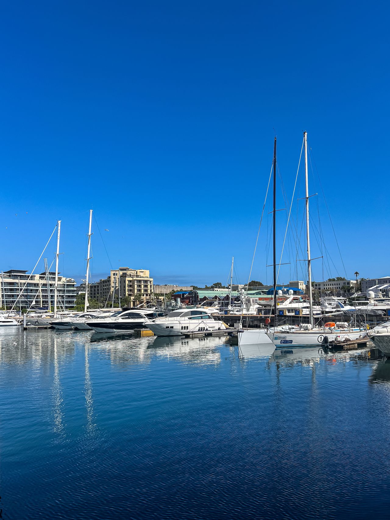 A picturesque marina with sailboats moored under a clear blue sky