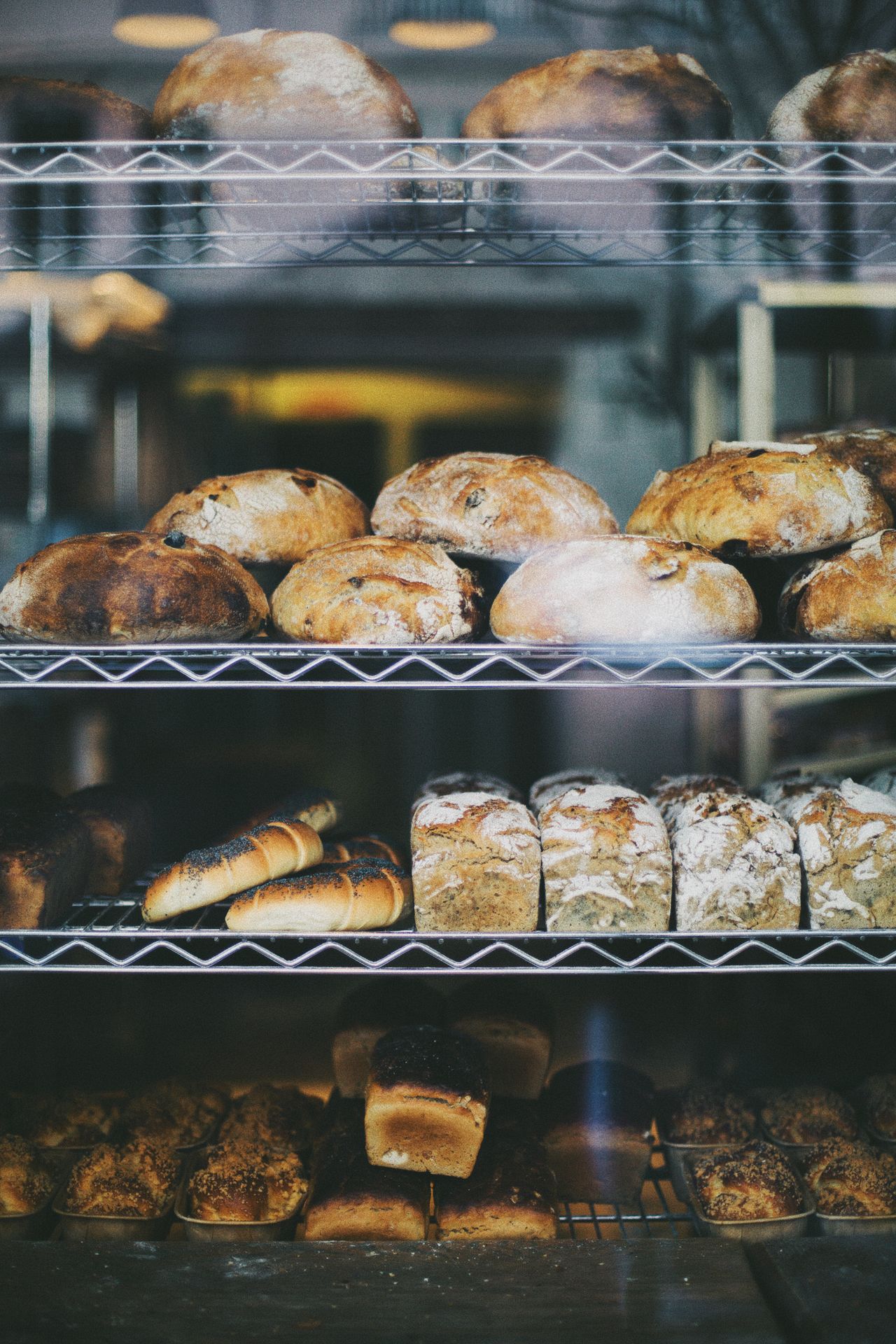 Variety of freshly baked bread displayed in a bakery shop window