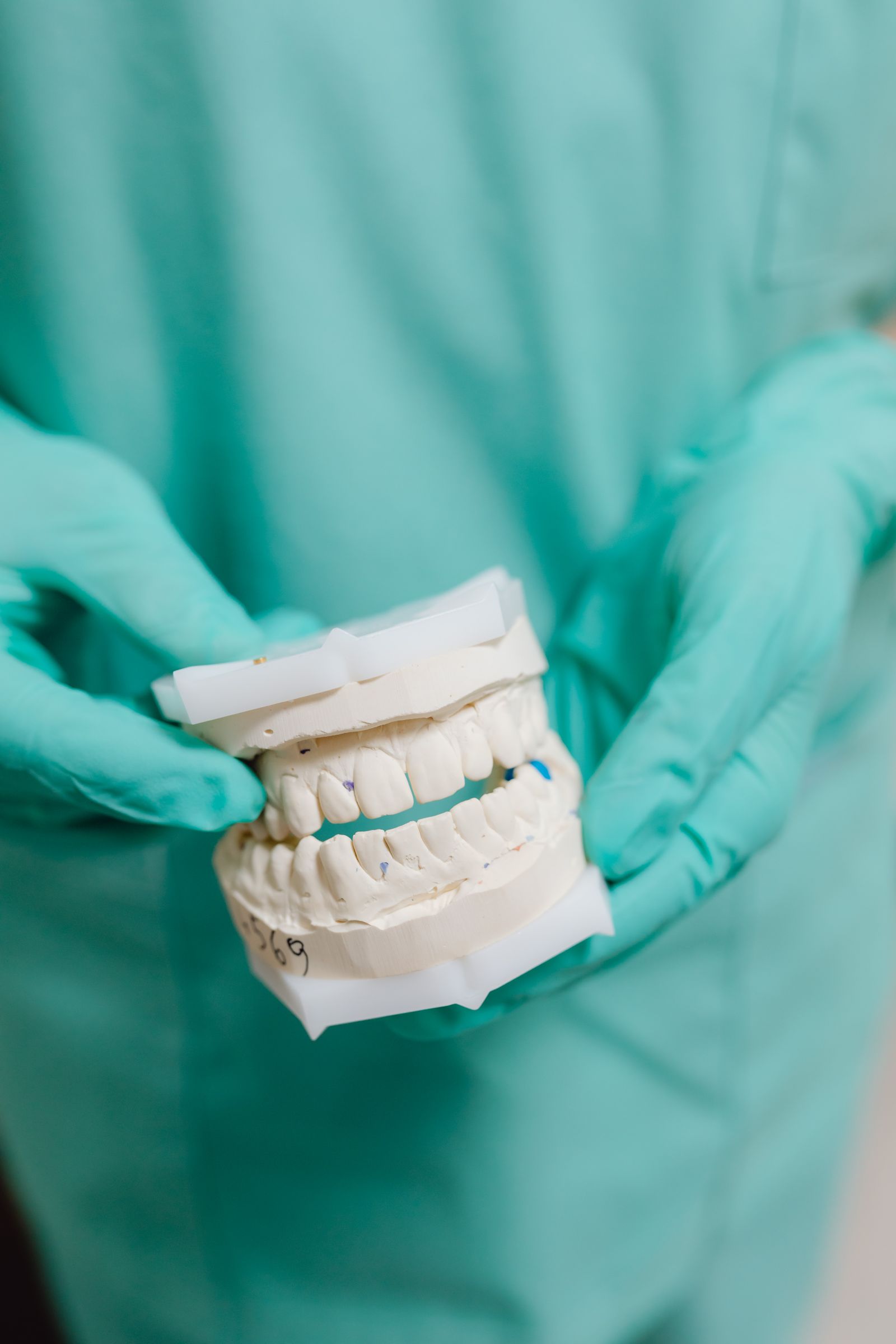 Close-up of a dental model showing healthy, well-aligned teeth