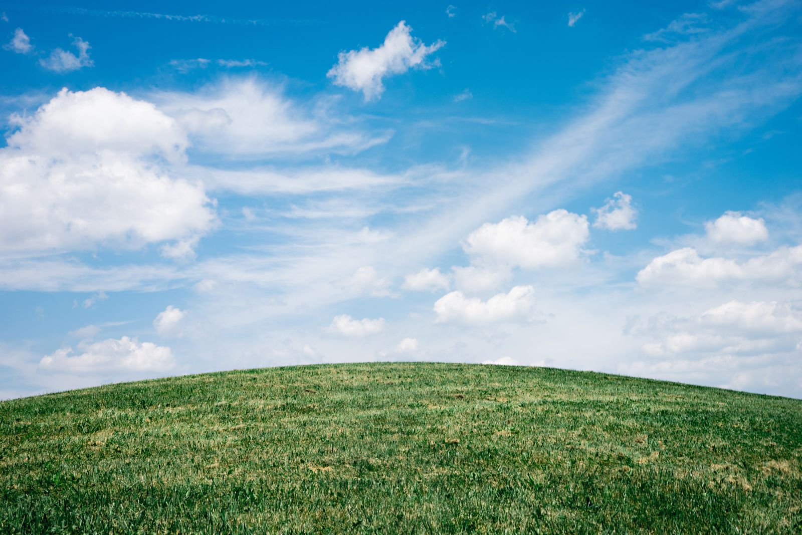 An open green meadow under a wide blue sky with soft white clouds
