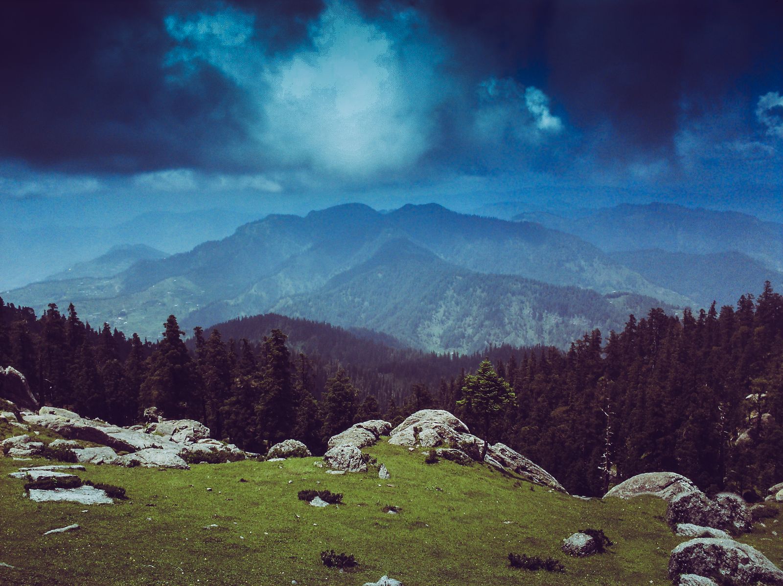 Green mountain slopes covered in pine forest under a dramatic sky
