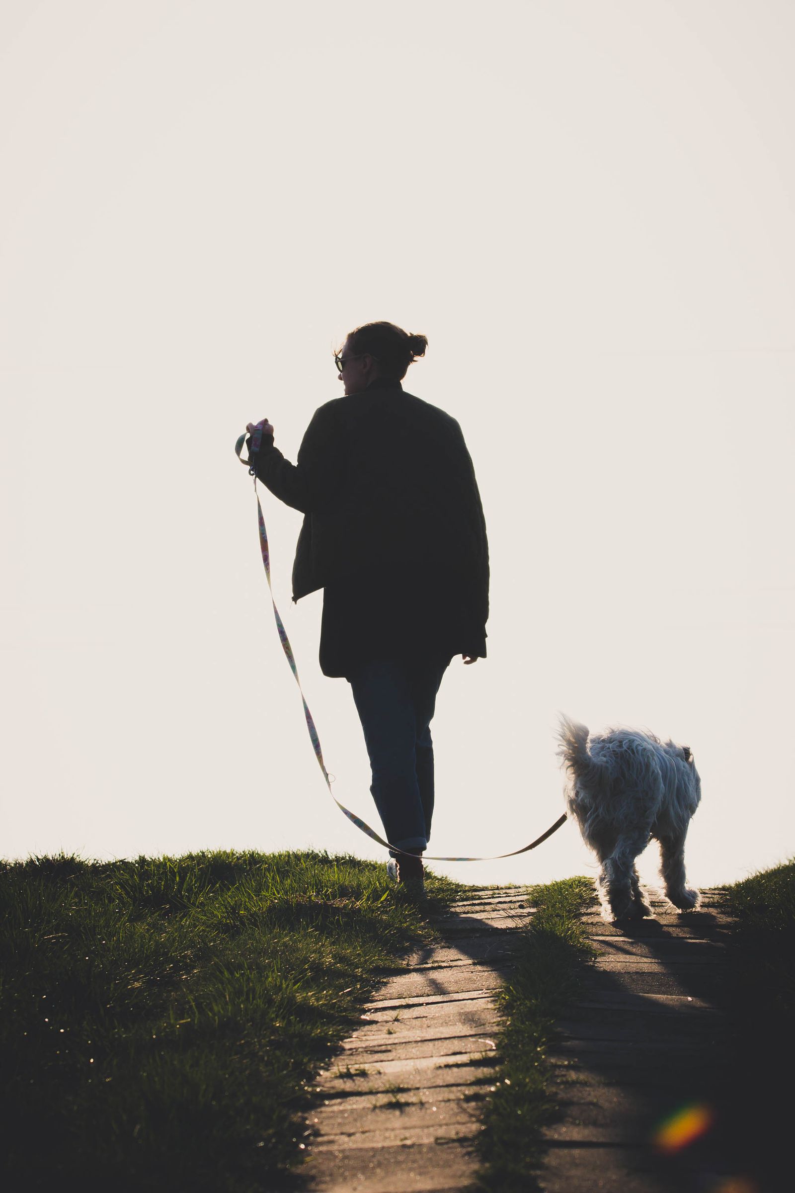 Silhouette of a dog and its owner walking up a hillside path at dusk