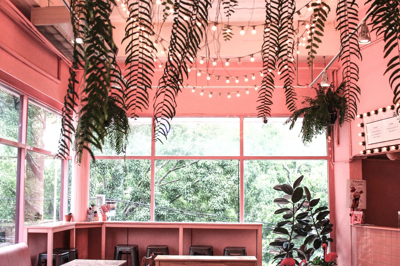 The charming pink-toned shop interior with modern seating and fern decor