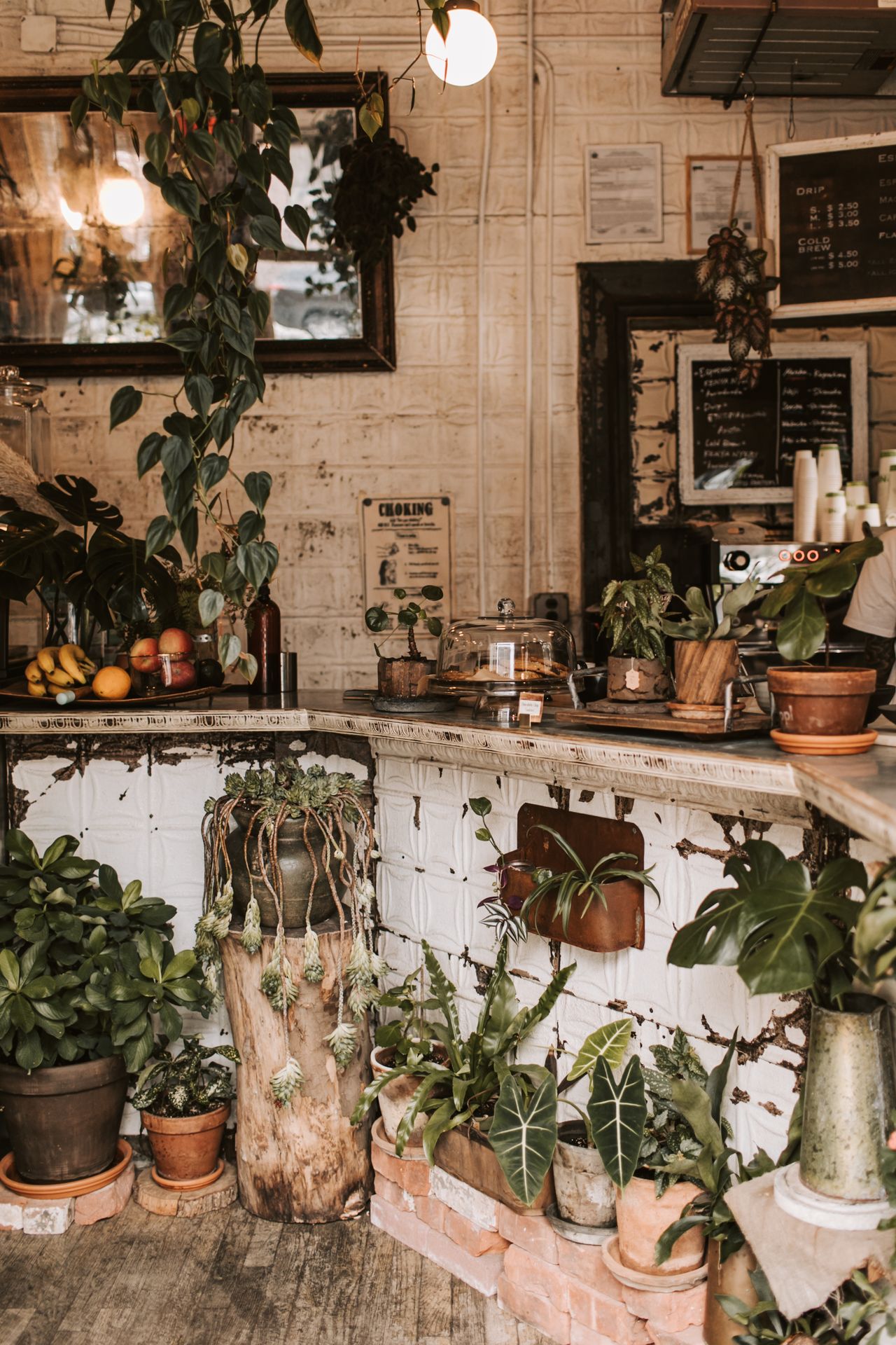 Inside the Grindstone roastery-café: rustic interior with hanging plants and warm light